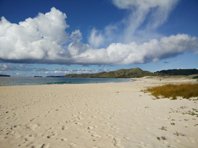  New Zealand's Summer Beach